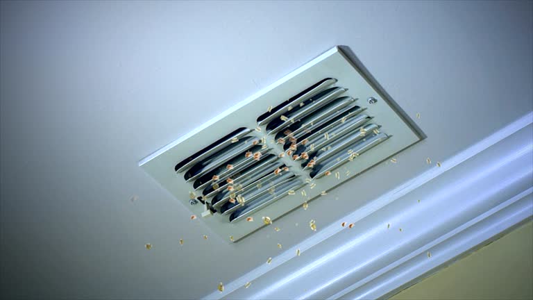 Best General Air Duct Cleaning  in Belfast, ME